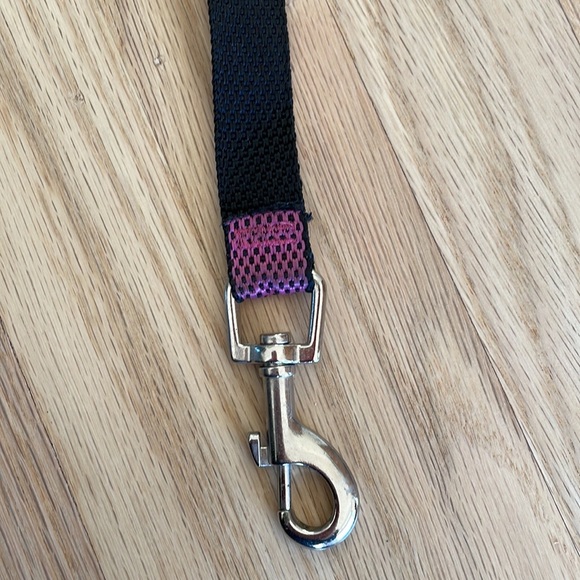 Dog Bundle: Pink Leash, Collar and Socks - Picture 13 of 16